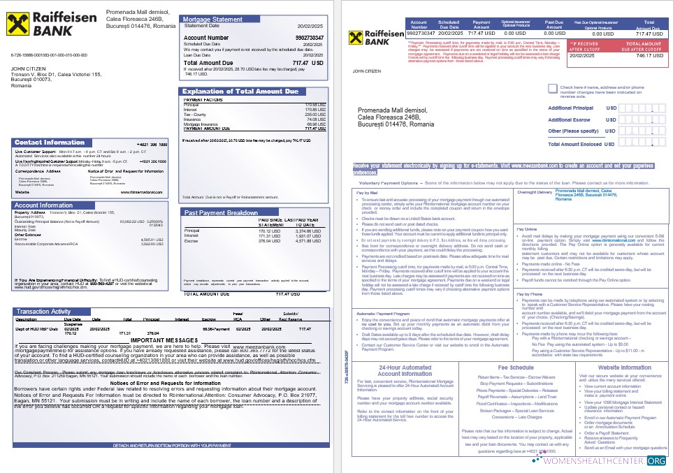 Download Romania Raiffeisen bank mortgage statement in Word and PDF formats 1 2 Photoshop template